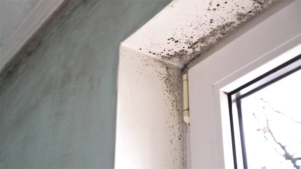 Water Damage Restoration in Cloverdale, VA