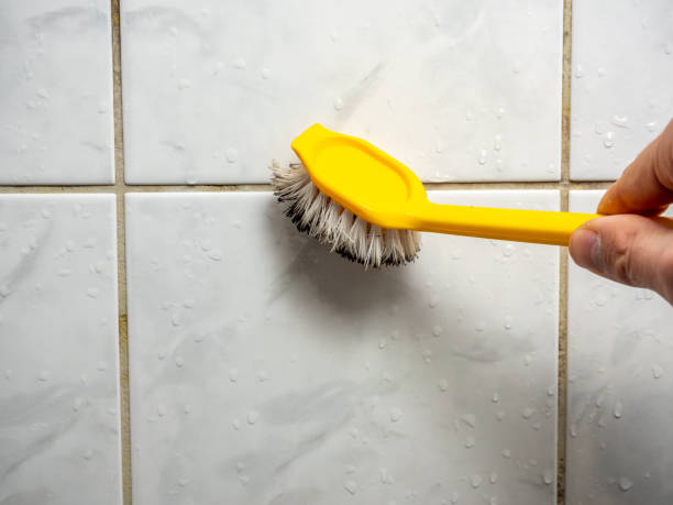 Best Mold Cleaning Services  in Cloverdale, VA