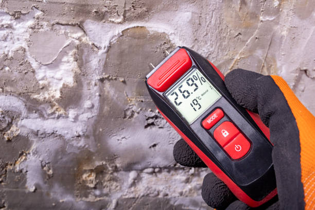 Best Residential Mold Removal  in Cloverdale, VA