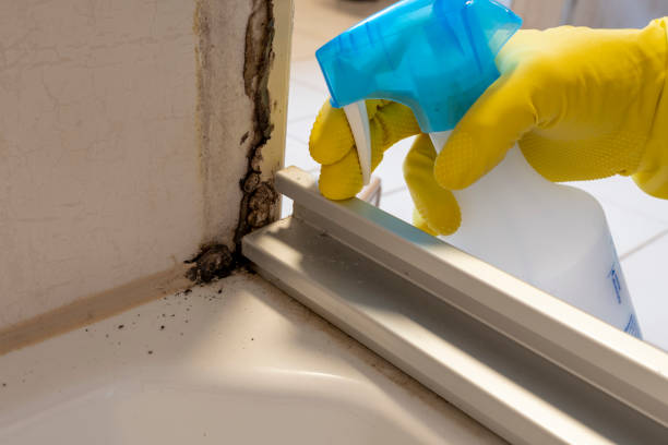 Best Mold Testing  in Cloverdale, VA
