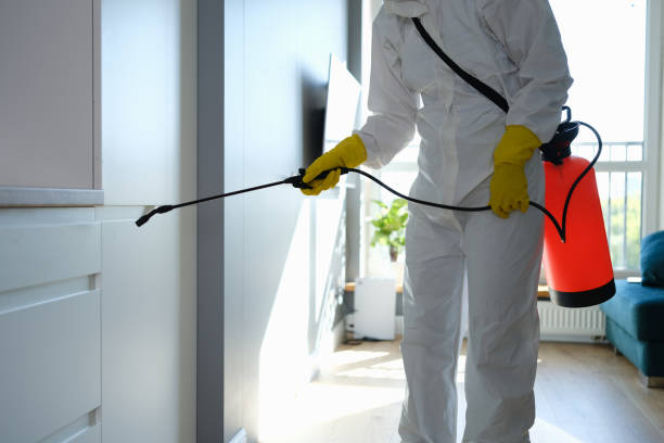 Best Black Mold Removal  in Cloverdale, VA
