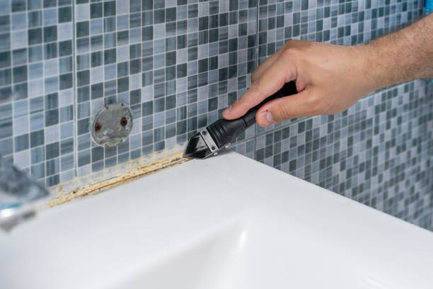 Best Home Mold Removal  in Cloverdale, VA