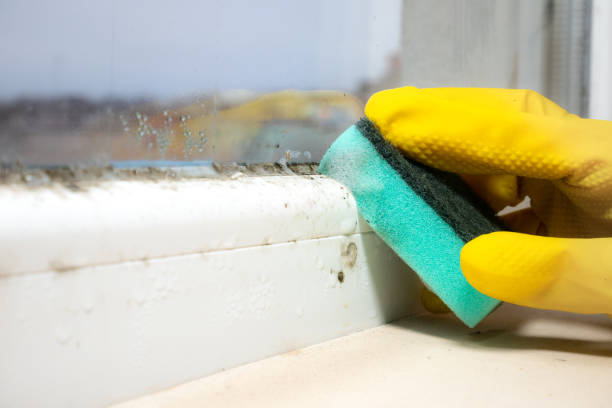 Cloverdale, VA Mold Removal Company