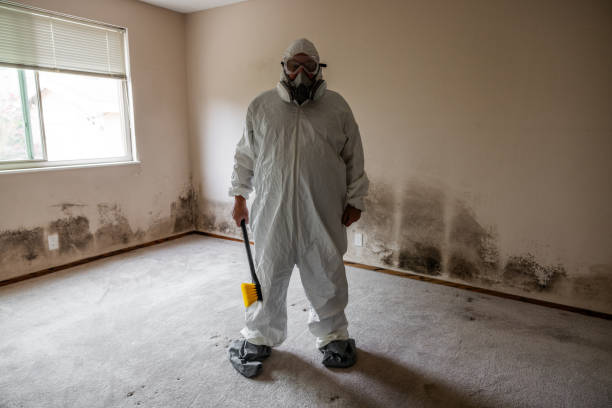 Best Emergency Mold Removal  in Cloverdale, VA