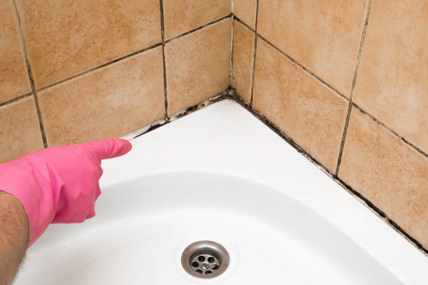 Best Mold Removal Near Me  in Cloverdale, VA